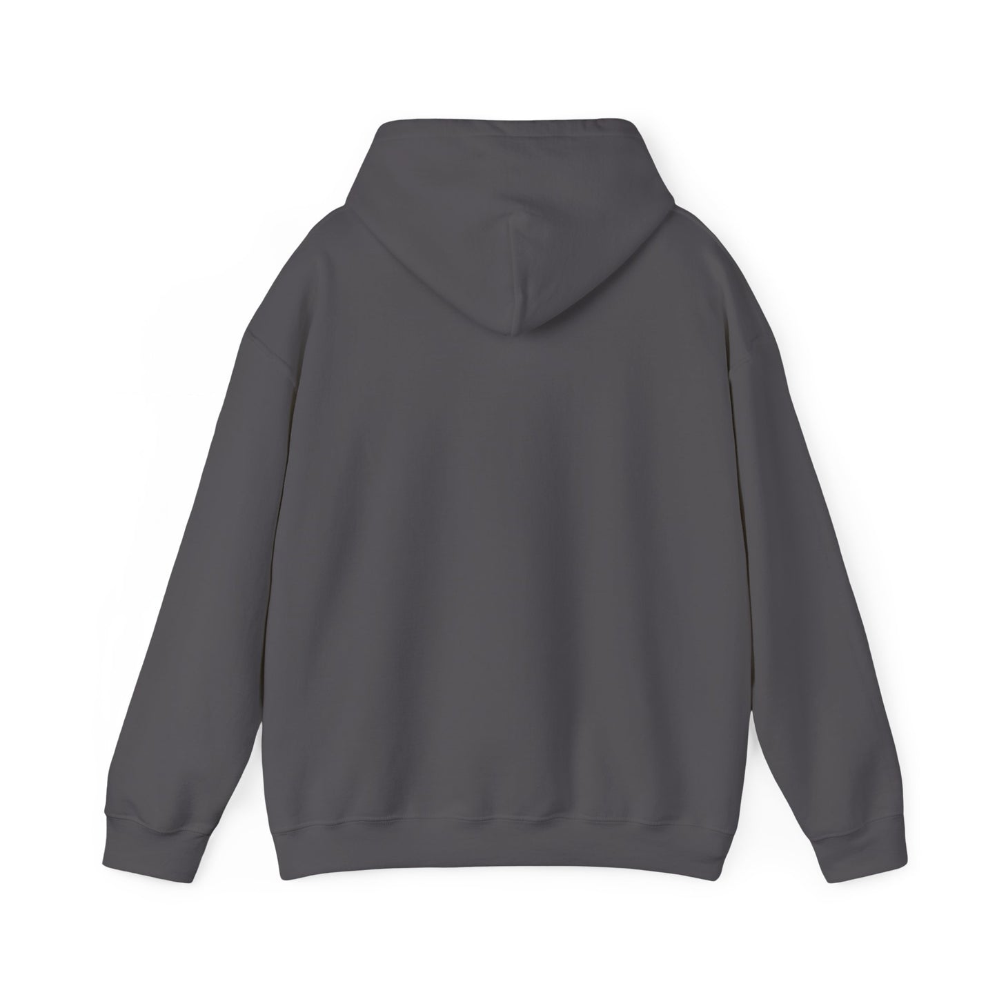 Trump 2024 Collection: Veterans for Trump Hoodie