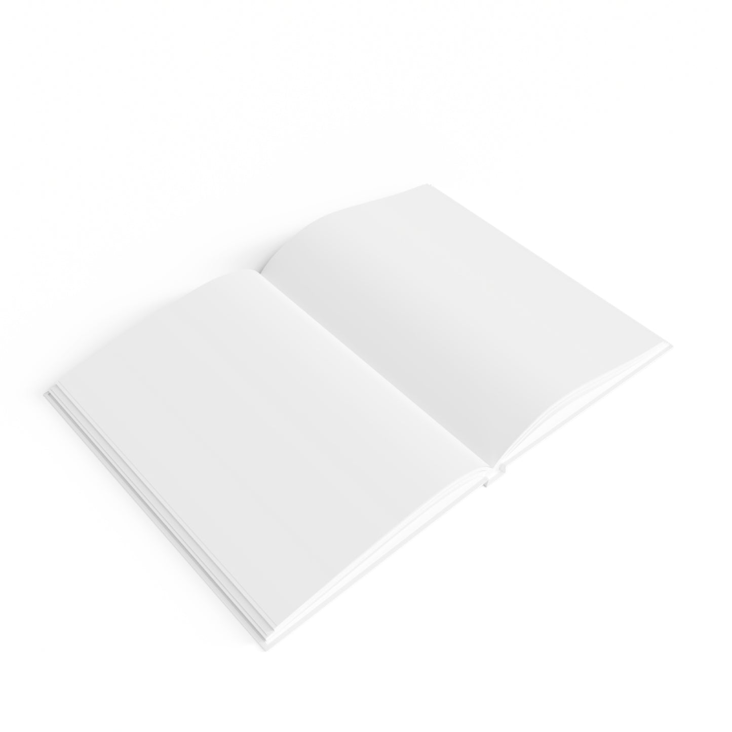 Trump 2024 Collection: Journal