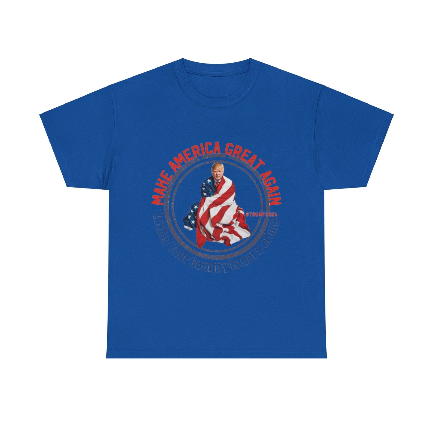 Loving Your Country is Not A Crime T-Shirt