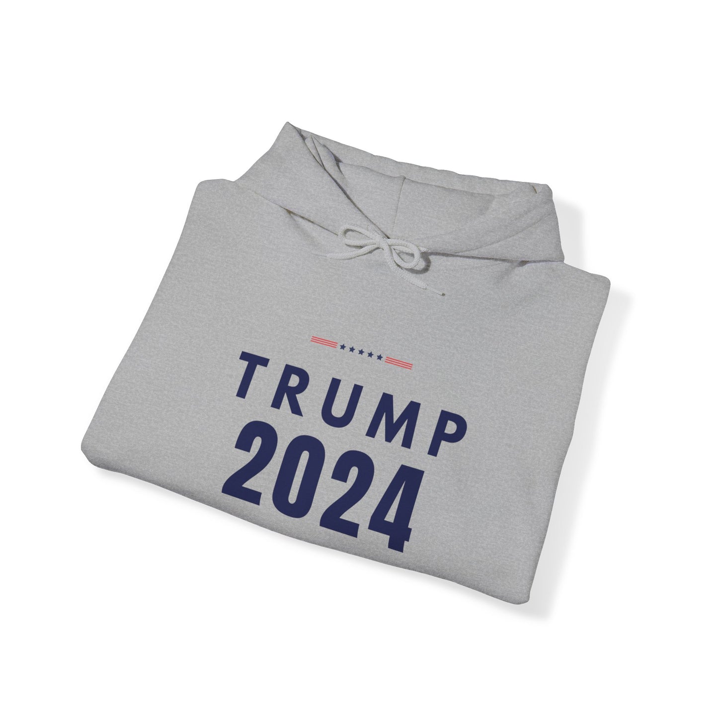 Trump 2024 Collection: Hoodie