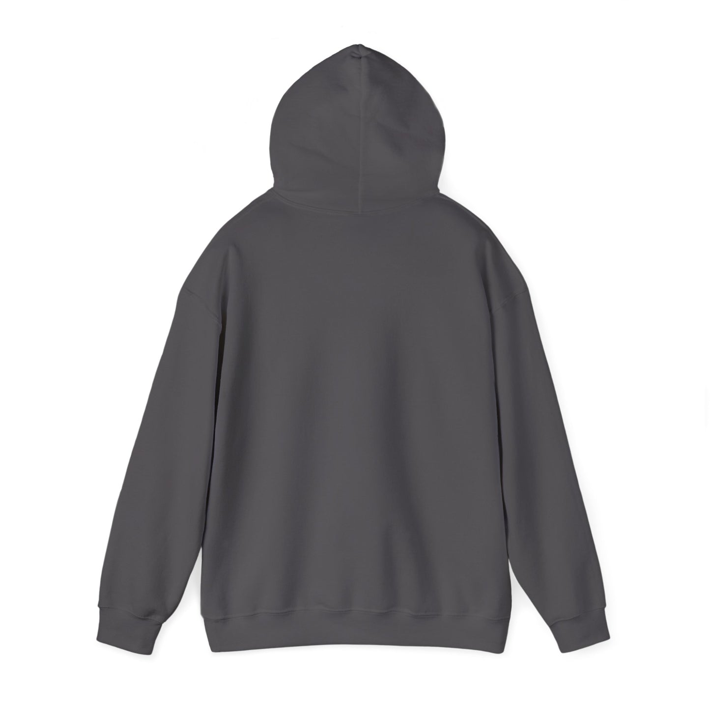 Trump 2024 Collection: Veterans for Trump Hoodie