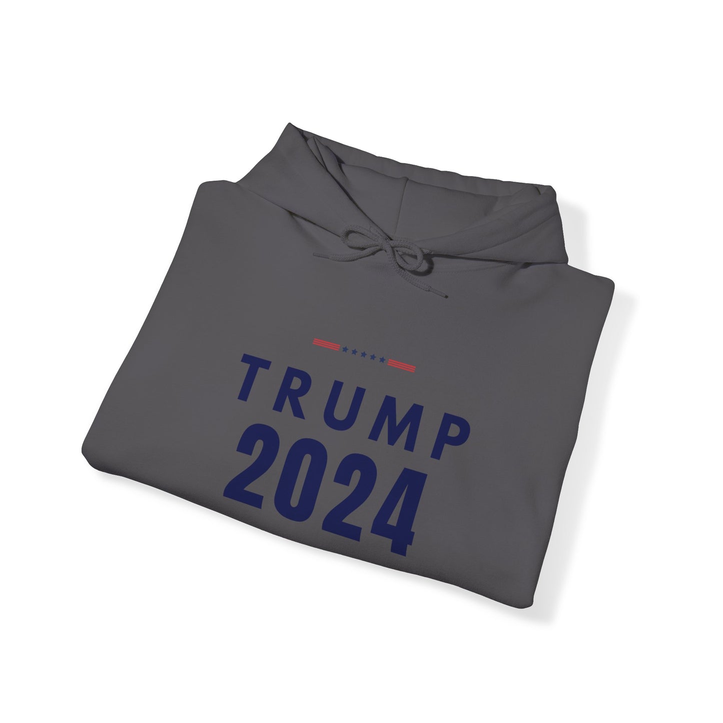 Trump 2024 Collection: Hoodie