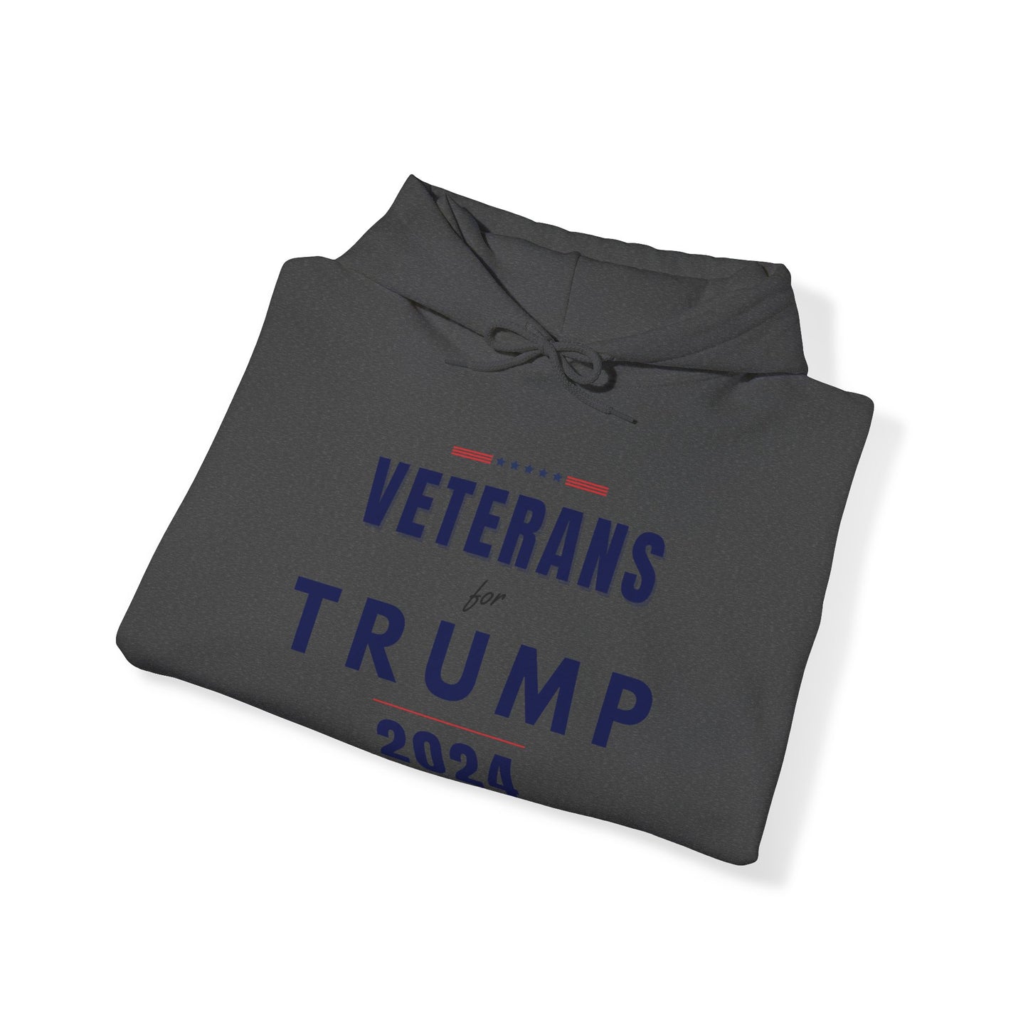 Trump 2024 Collection: Veterans for Trump Hoodie