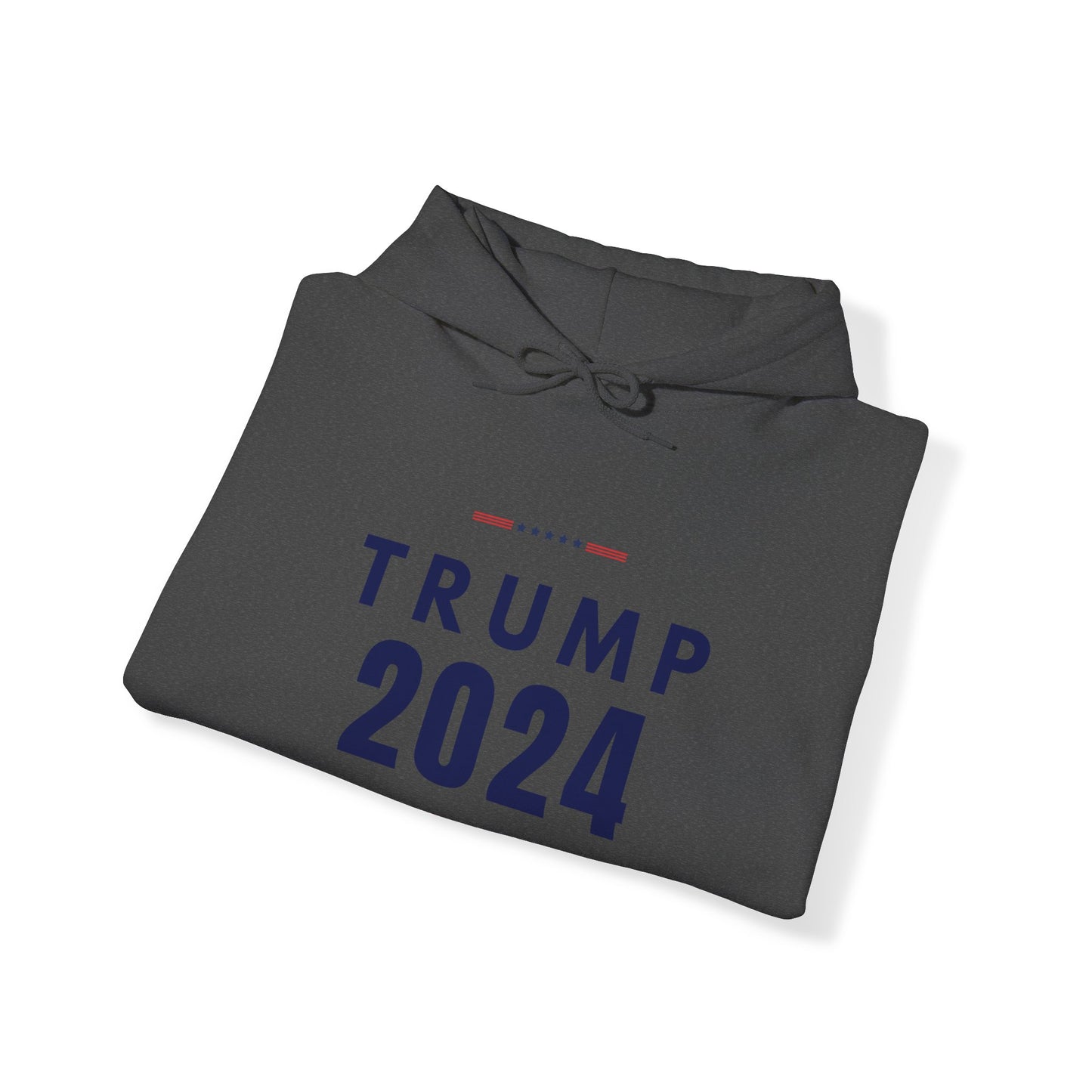 Trump 2024 Collection: Hoodie