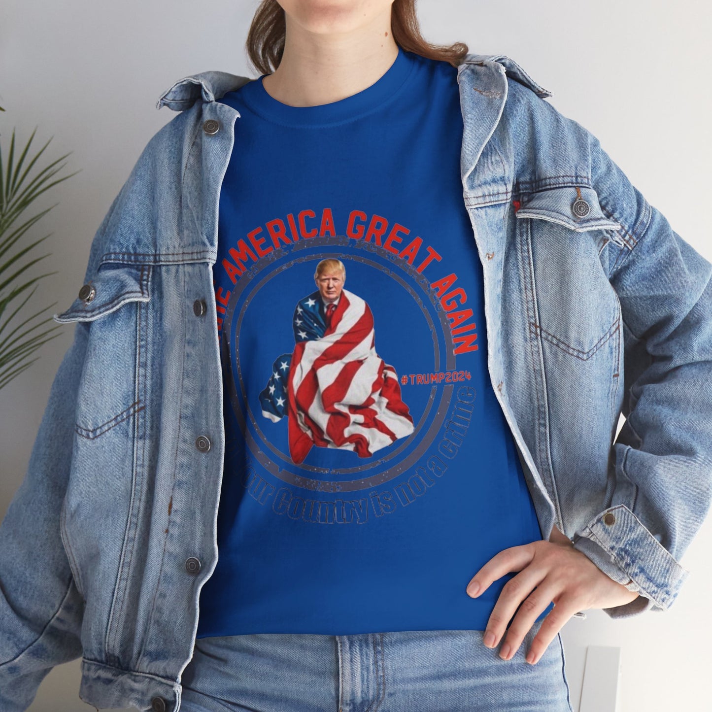 Loving Your Country is Not A Crime T-Shirt