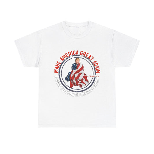 Loving Your Country is Not A Crime T-Shirt